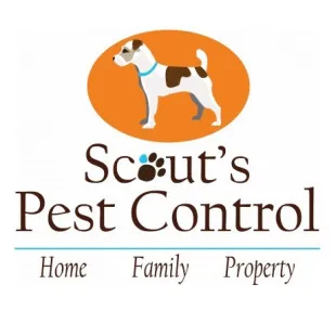 Scout's Pest Control - Pest Control Services in Spartanburg, SC