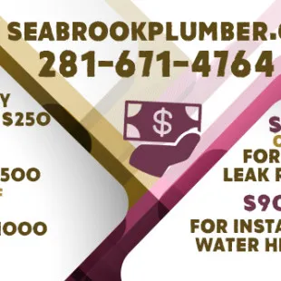 Seabrook Plumber logo