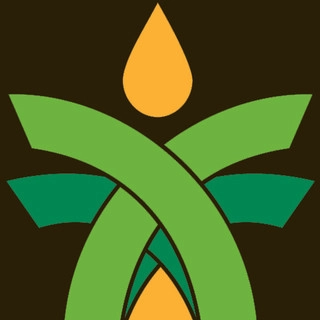 SecureTurf - Charlotte Landscaping Experts logo