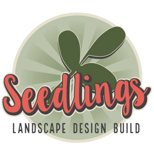 Seedlings Landscape Design Build - Patio Design & Installation in Fischer, TX