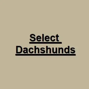 Select Dachshunds logo