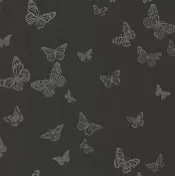 Shorty's logo