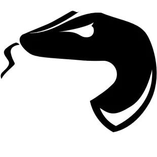 Sidewinder Painting LLC logo
