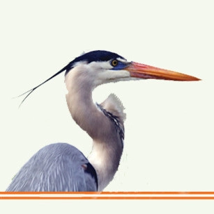 Siesta Key Landscape logo