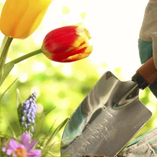 Silva Landscaping & Handyman logo