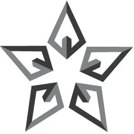 Silver Star Excavation logo