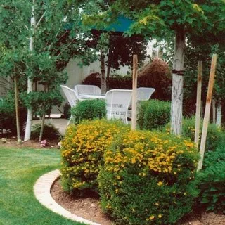 Simpson Landscaping & Construction Services logo