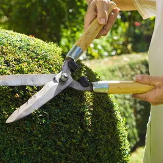 Sosa Landscaping & General Maintenance logo
