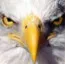 Soseman - Architectural & Building Design Services in Anabel, MO