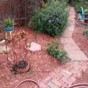 Southern Landscape LLC logo