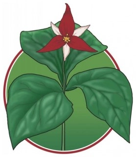Southern Trillium LLC logo