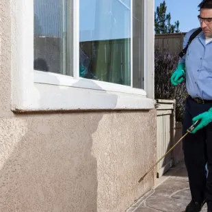 Spring City Termite Removal Experts logo