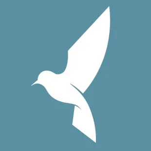 Spring Studio Architecture logo