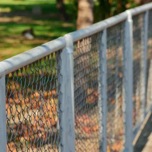 Springfield Fencing Co logo