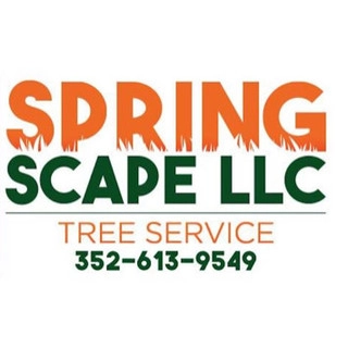 SpringScape LLC logo