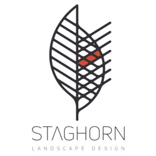 Staghorn NYC logo