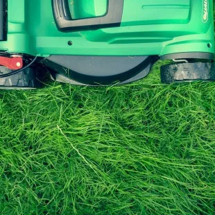 Sterling Insect & Lawn Control logo