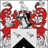 Stonecraft Masonry logo