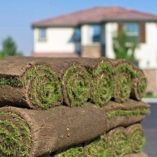 StoneGate Turfgrass Ranch logo