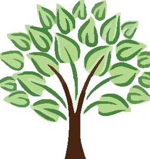 Stuart Lawn & Tree Service LLC logo