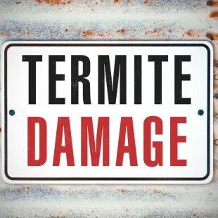 Summer Capital Termite Removal Experts logo