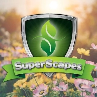 Superscapes logo