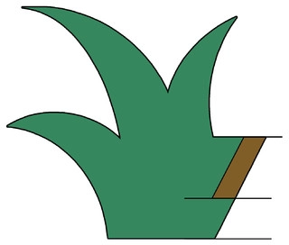 Sustain Scape logo
