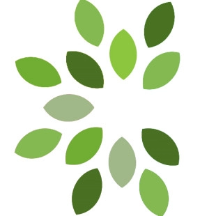 Synergy Landscape Group logo