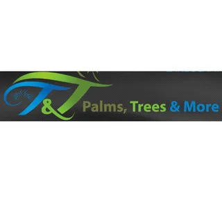 T & T Palms, Trees & More logo