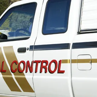 Tactical Pest Control, LLC logo