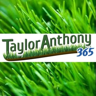 Taylor Anthony 365 logo