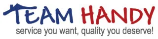 Team Handy logo