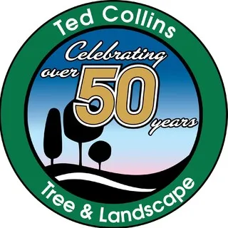 Ted Collins Tree & Landscape logo