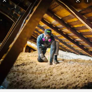Terminix pest & Insulation pros logo