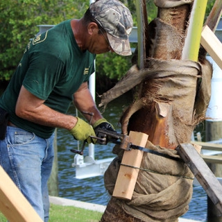 Terra Landscaping Inc. - Outdoor Lighting Installation in Sarasota, FL