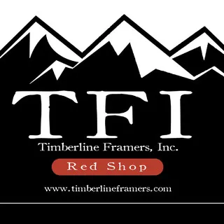 TFI logo