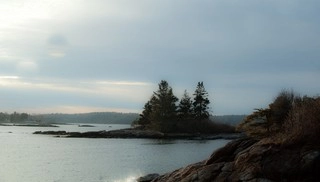 The Coastal Landscape logo