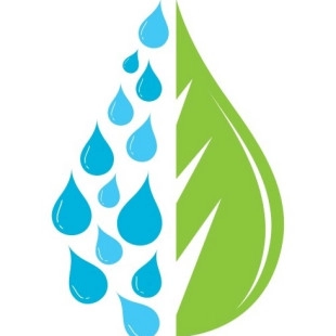 The Detail Guys logo
