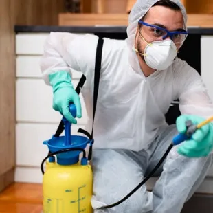 The Green Termite Removal Experts logo