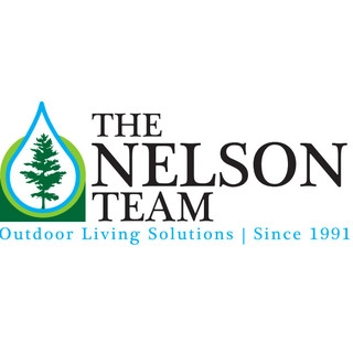 The Nelson Team logo