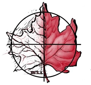 The Site Group logo