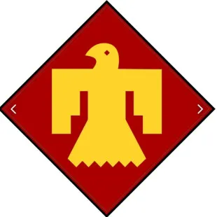 Thunderbird Construction & Restoration LLC logo