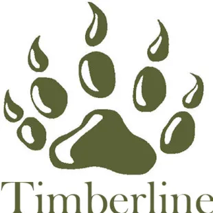 Timberline Contracting, Inc - Custom Home Builders in Phippsburg, CO