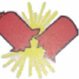 TNT Construction & Painting logo