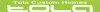 Tola Custom Homes logo