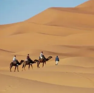 Top Morocco Tours logo