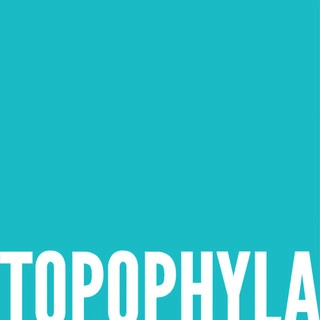 Topophyla - Garden Remodeling in Santa Barbara, CA