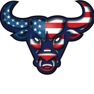 Toro Striping, Inc. logo