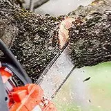 Tree service wichitaks logo