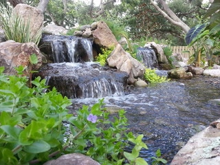 Tropical Water Gardens logo